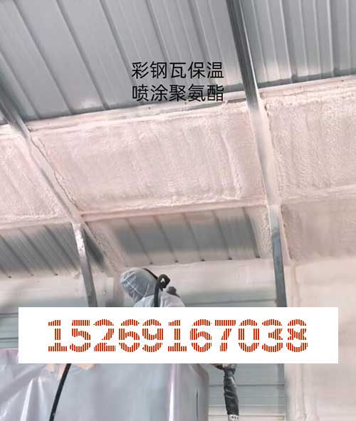 单板彩钢瓦顶棚防冷凝水用万向案例